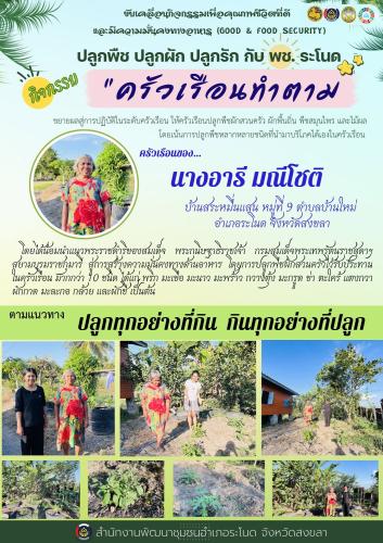 พช. ระโนด ขับเคลื่อนกิจกรรม "ครัวเรือนทำตาม" เพื่อคุณภาพชีวิตที่ดีและมีความมั่นคงทางอาหาร (GOOD & FOOD SECURITY)